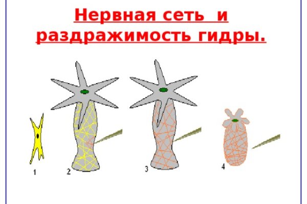 Кракен тор браузер
