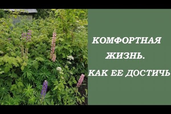 Как найти ссылку на кракен
