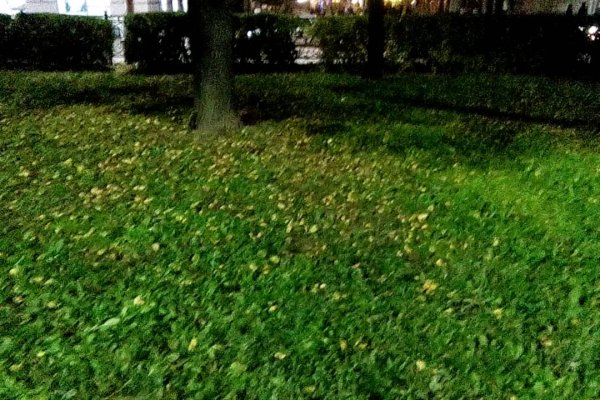 Ссылка на кракен в браузере